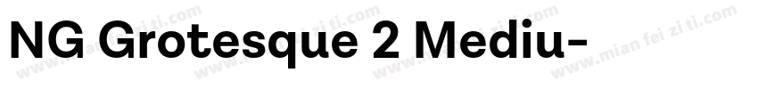 NG Grotesque 2 Mediu字体转换